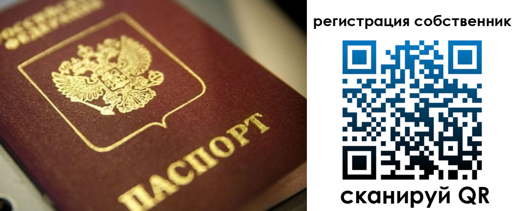 прописка в Данилове